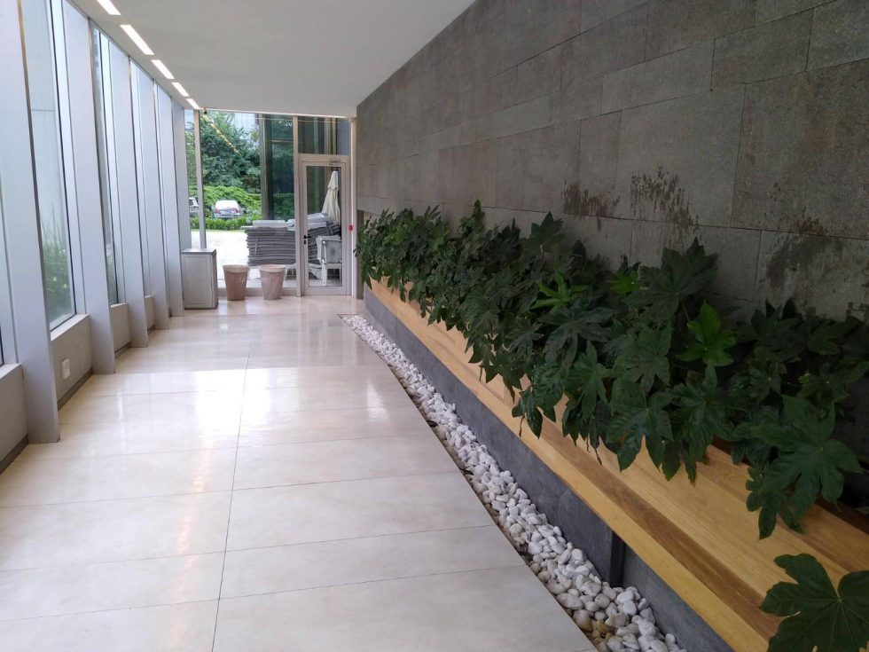 Trabajo realizado por Jardineros Sembrando