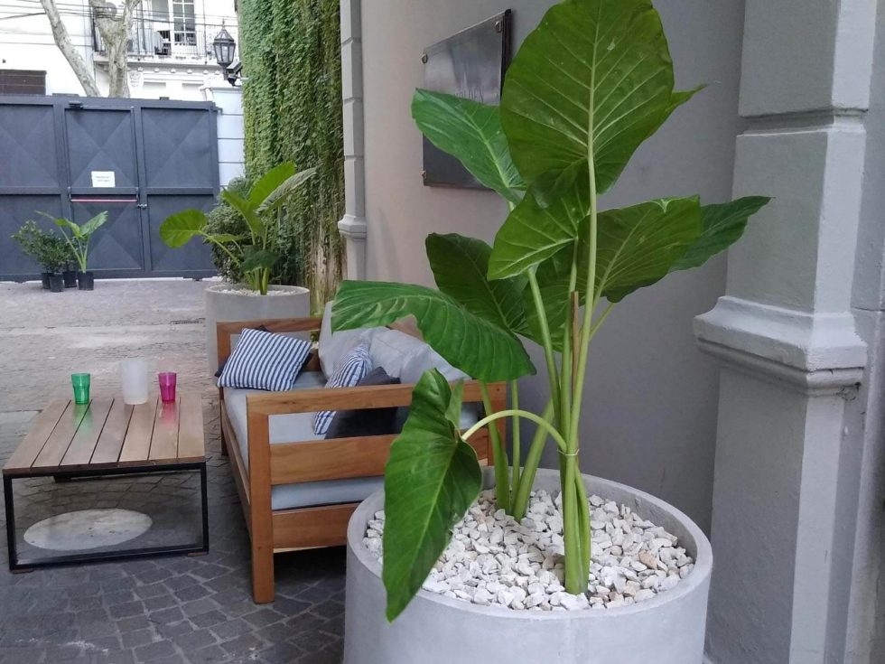 Trabajo realizado por Jardineros Sembrando